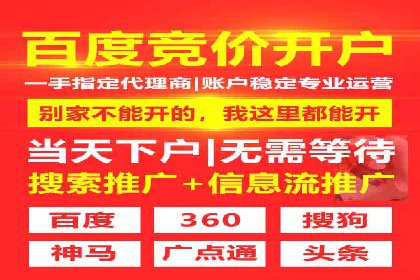 SEM推广实战：案例分析及优化建议